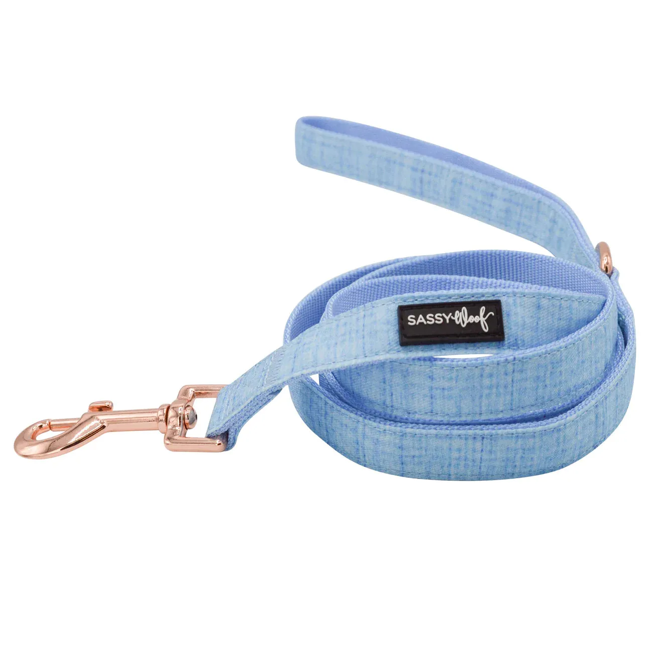 Blue Fabric Leash