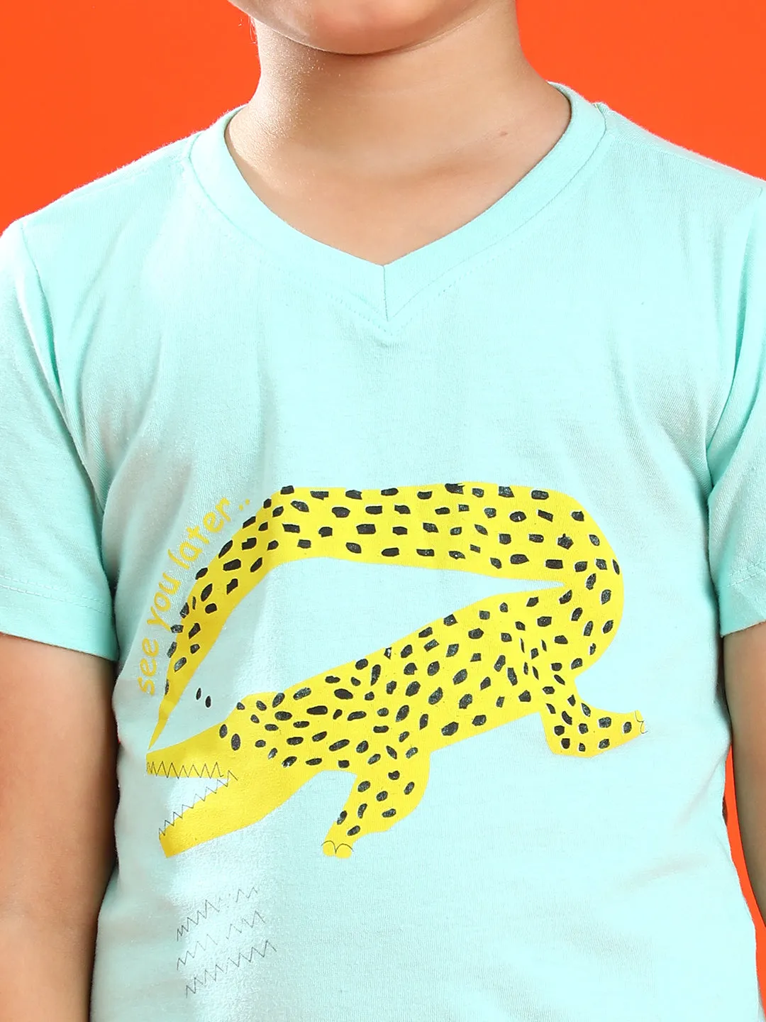 Boys Aqua 100% Cotton Printed T-shirt