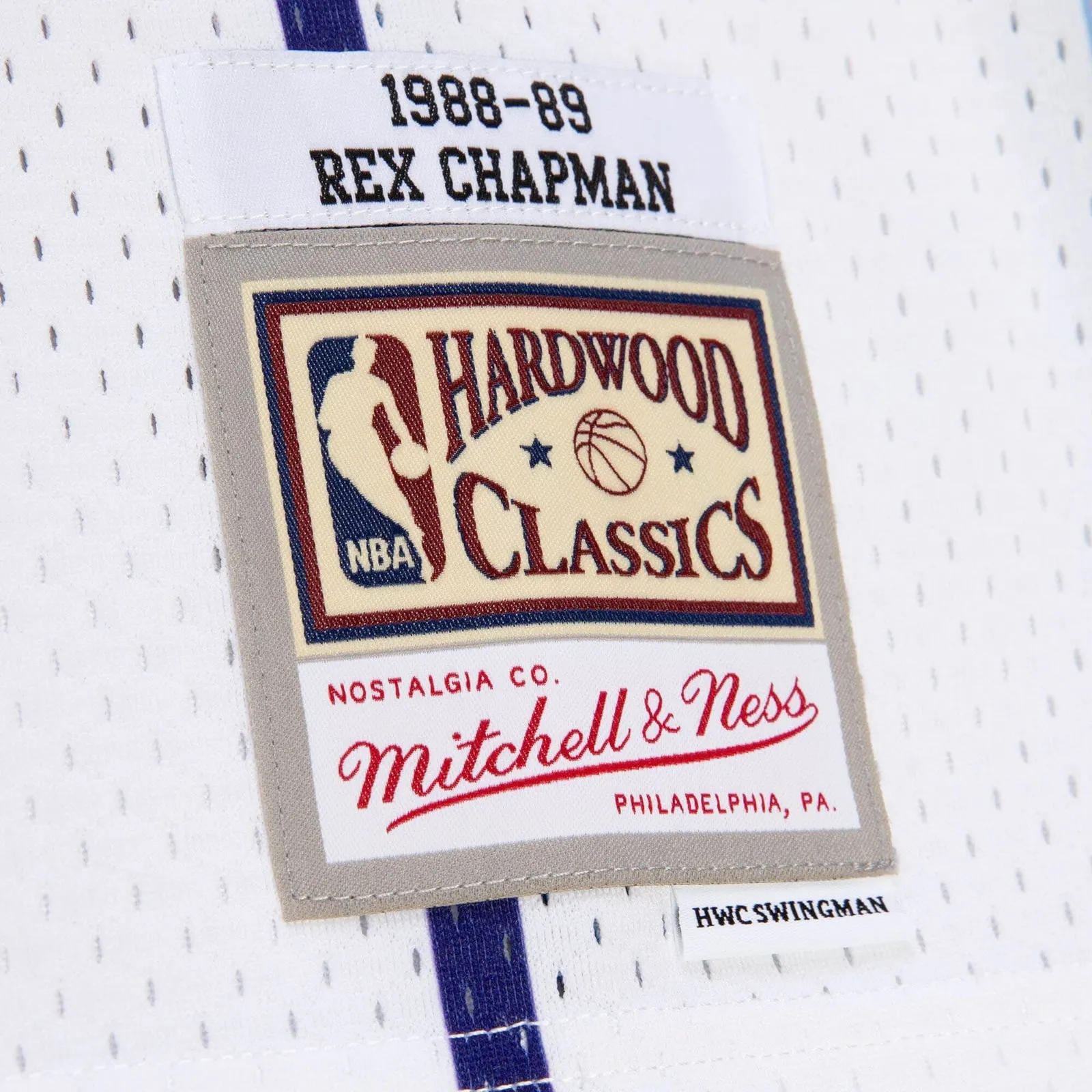 Charlotte Hornets Rex Chapman 1988-89 Hardwood Classics Swingman NBA Road Jersey by Mitchell & Ness