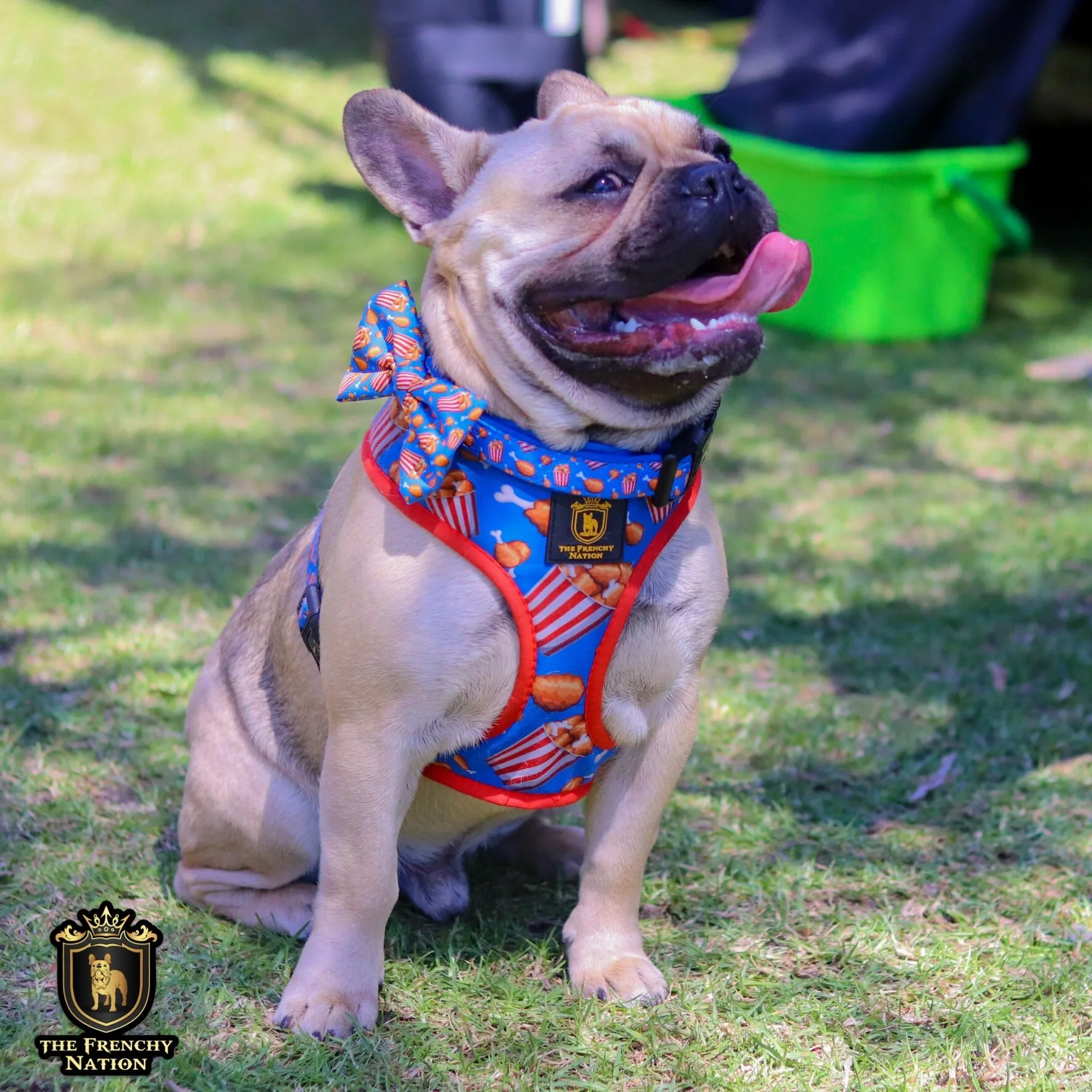 “Finger licking good"  Collar & Bow Tie ✨Bulldog collection ✨