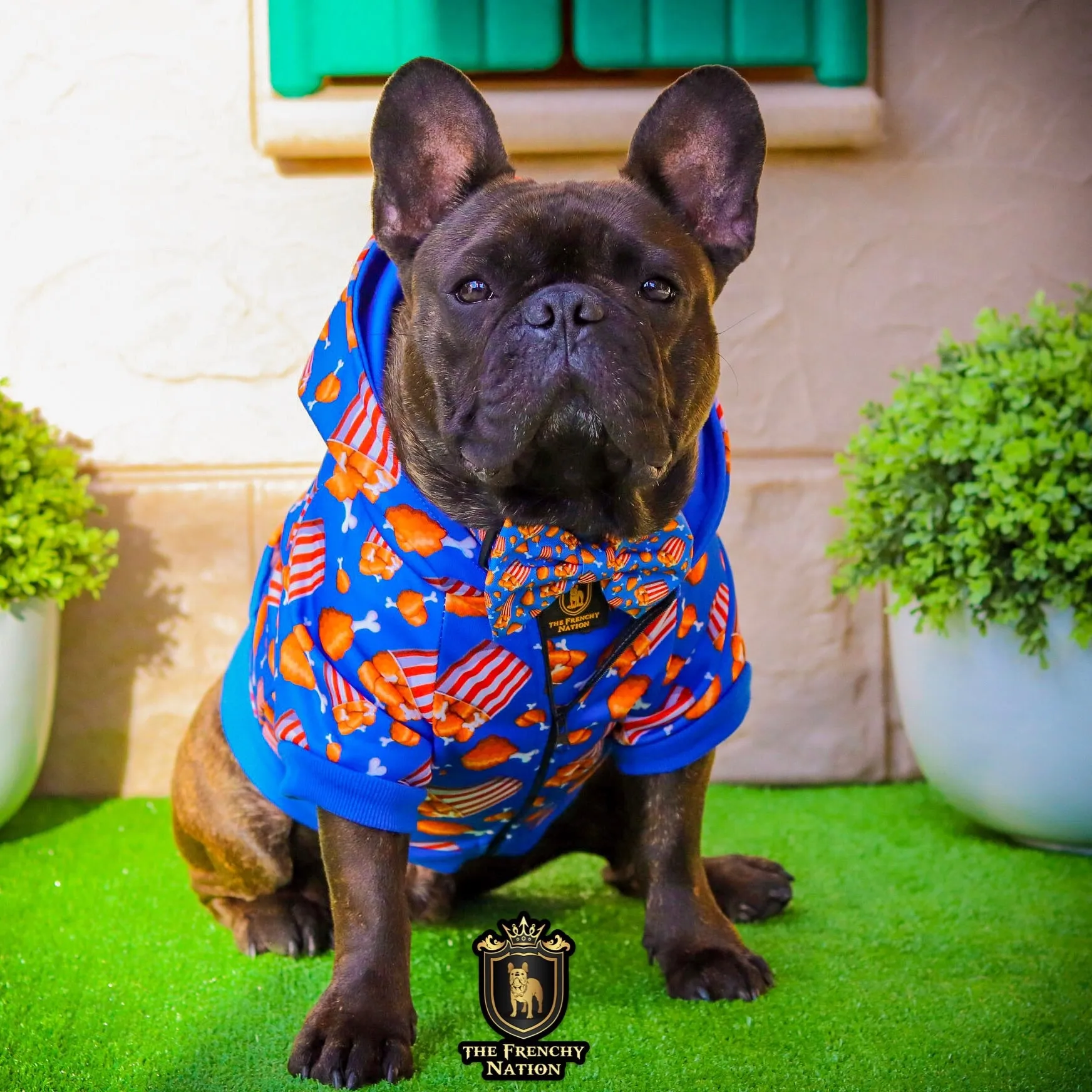 “Finger licking good"  Collar & Bow Tie ✨Bulldog collection ✨