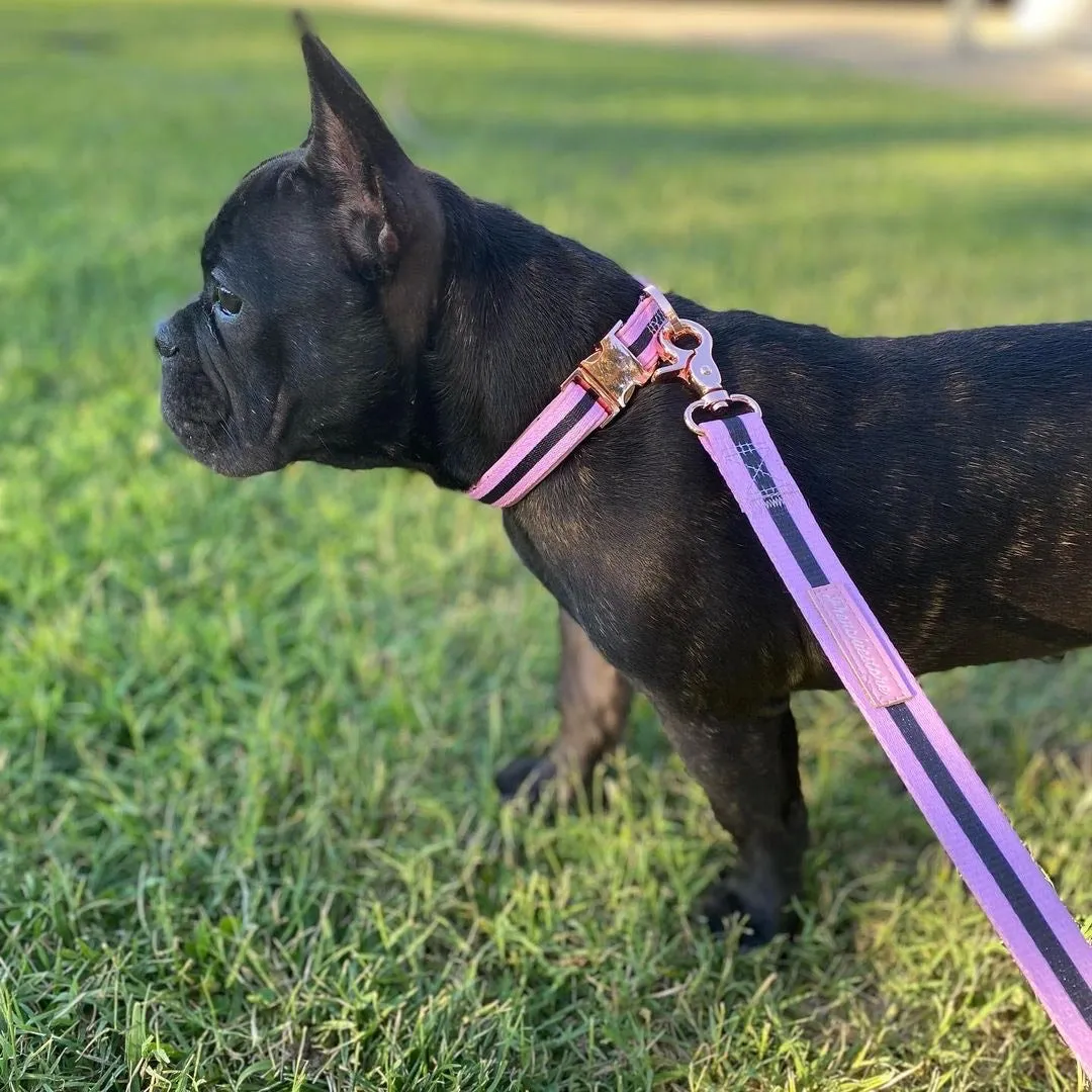 Frenchiestore Breakaway Dog Collar | Pink Varsity