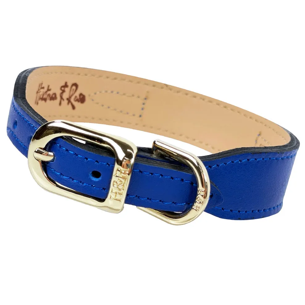 Holiday Dog Collar in Cobalt Blue & Gold