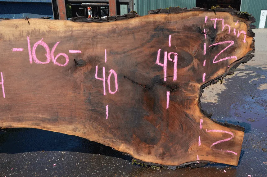 Oregon Black Walnut 081221-11