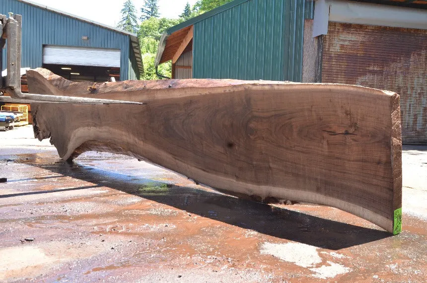 Oregon Black Walnut Slab 062322-10