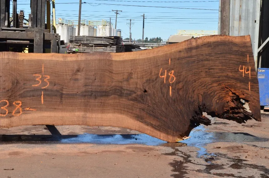 Oregon Black Walnut Slab 062322-10