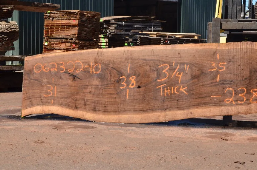 Oregon Black Walnut Slab 062322-10