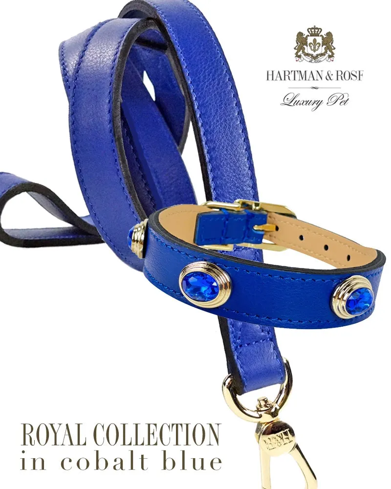 Royal Dog Collar in Cobalt Blue & Gold