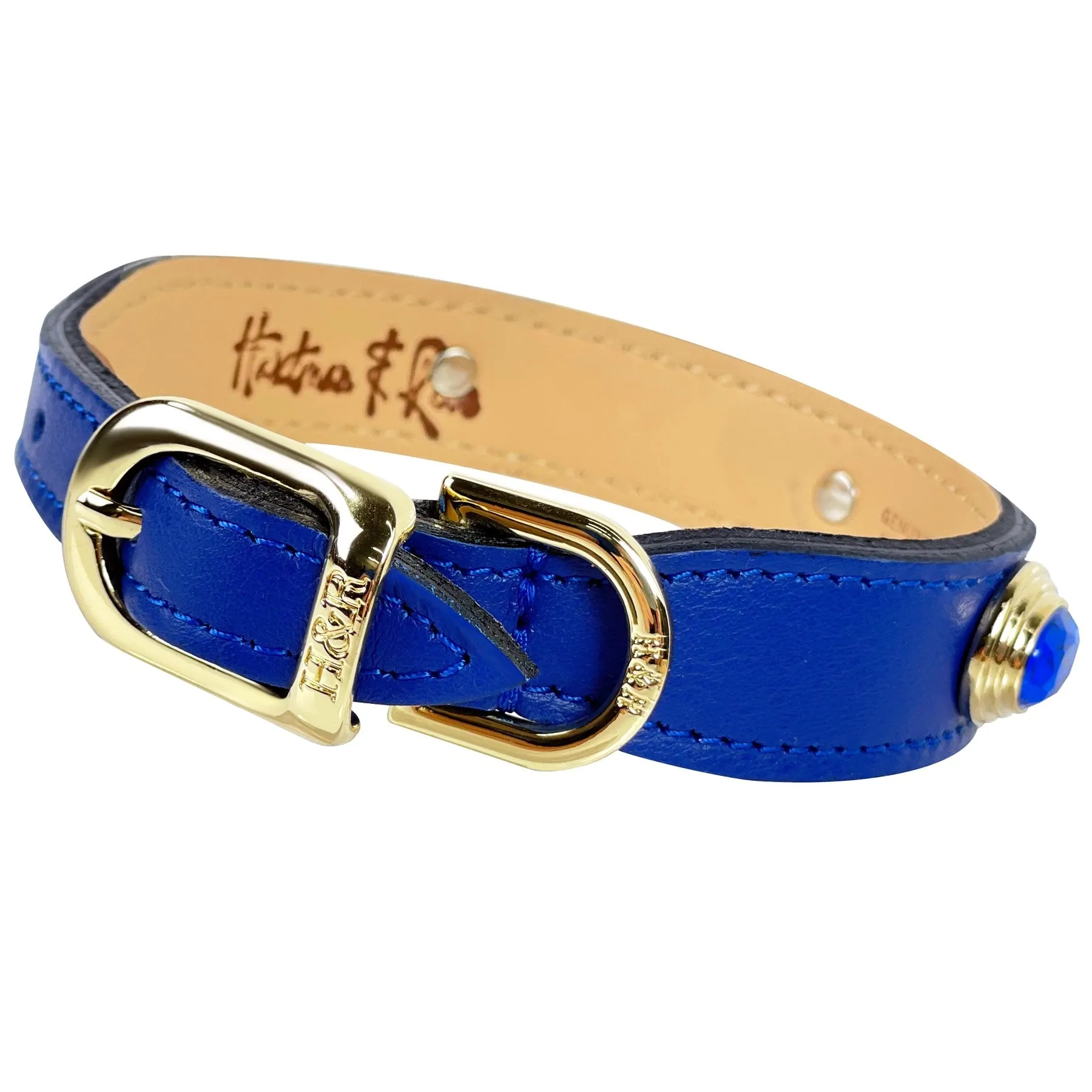 Royal Dog Collar in Cobalt Blue & Gold