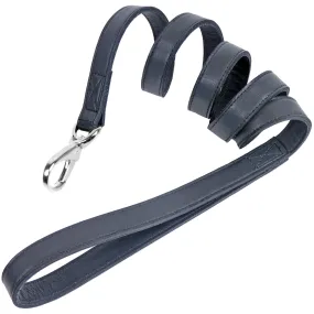 Signature Dog Leash in Slate Blue & Nickel